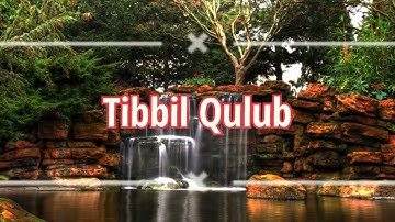 Tibbil Qulub||Sholawat||Koplo Time||Lirik dan Artinya||Musik Koplo Jaipong