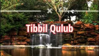 Tibbil Qulub||Sholawat||Koplo Time||Lirik dan Artinya||Musik Koplo Jaipong