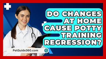 Do Changes At Home Cause Potty Training Regression? - PetGuide360.com
