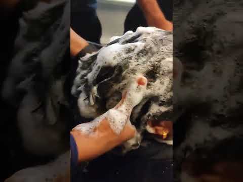 Kapil S Salon Botox Treatment Kerastase Shampoo Disciplne Bain Fuidaliste Gentle Morpho