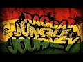 RAGGA JUNGLE JOURNEY - Drum n Bass Mix