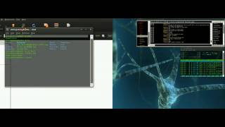 Copy Files in the Linux Terminal with cp (Ubuntu Beginner Tutorial)