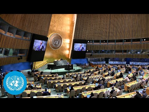 Suffering in Gaza Is Indescribable, Says UNRWA Chief | General Assembly | United Nations