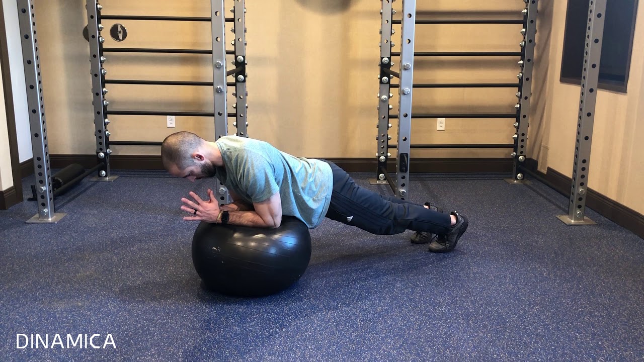Plank on Forearms Circles Stability Ball - YouTube