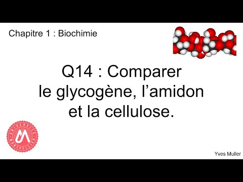 Chapitre 1 : Biochimie - Q14 : Comparer le glycogène, l&rsquo;amidon et la cellulose.