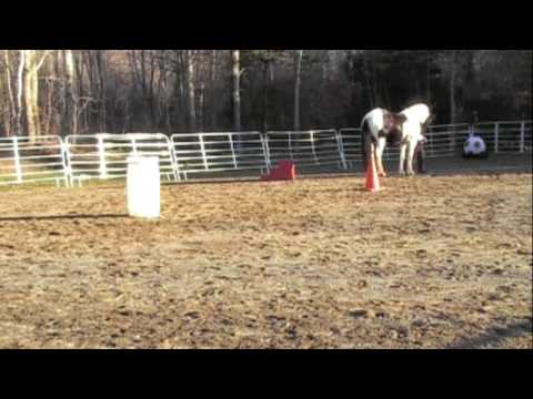 Lucy Groundwork: Canter, Lateral, Spin 11-09