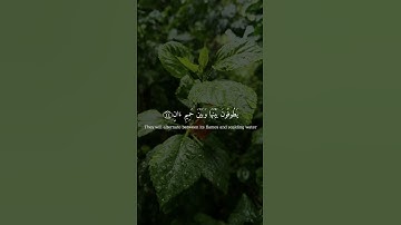 يطوفون بينها وبين حميم آن ! | سورة الرحمن | علي جابر