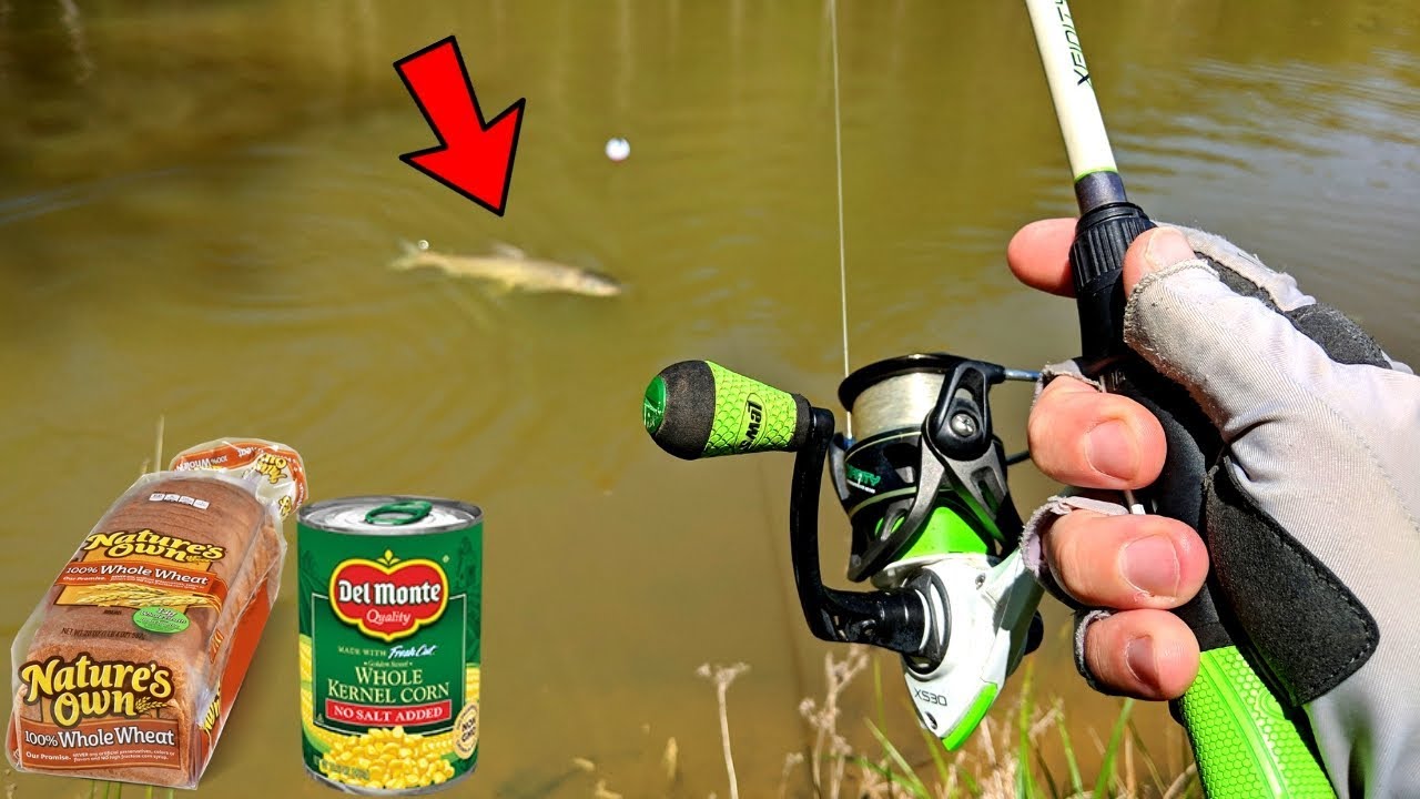 DUMB BAIT Catches GIANT MYSTERY FISH (CRAZY Fight!) 