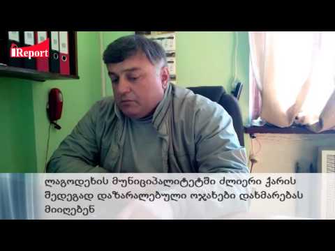 ლაგოდეხის მუნიციპალიტეტში ძლიერი ქარის შედეგად დაზარალებული ოჯახები დახმარებას მიიღებენ