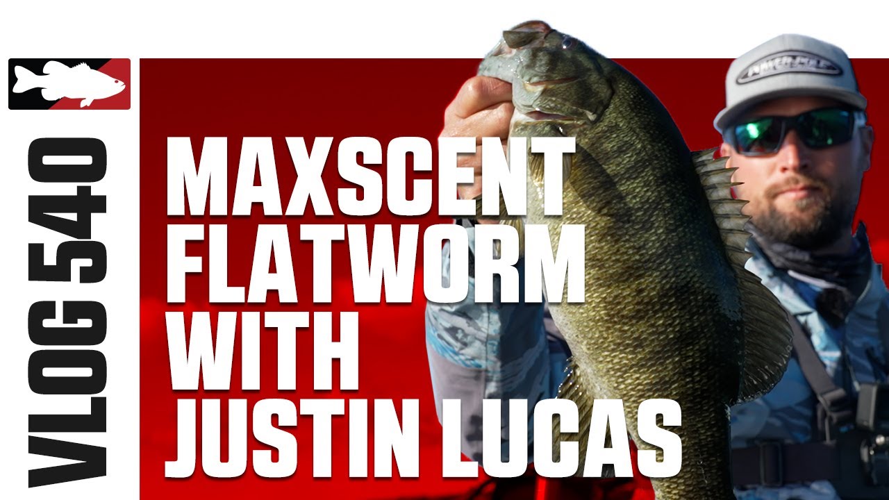 Justin Lucas Fishing Berkley Powerbait Maxscent Flatworm on Lake