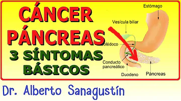 Qual remédio caseiro é bom para o pâncreas?