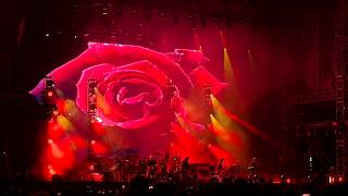 The CuRE - A FragiLe ThiNg @ FiReNze RoCkS - 14.06.2026