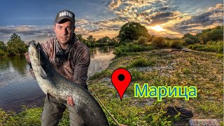 видео: 🐟Малки ама рибки.😝 Риболов на река Марица. Сом, Кефал.Spining fishing Maritza river | Catfish, Chub🐟 картинка: 🐟Малки ама рибки.😝 Риболов на река Марица. Сом, Кефал.Spining fishing Maritza river | Catfish, Chub🐟