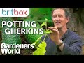 Monty's Top Tips for Growing Gherkins | Gardeners' World
