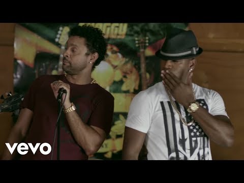 Shaggy - You Girl  ft. Ne-Yo