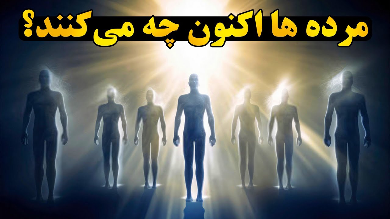 آیا مرده ها همدیگر را ملاقات میکنند؟