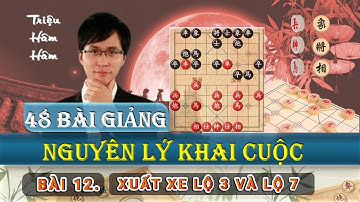 Triệu Hâm Hâm - 48 Nguyên Lý Khai Cục - Bài 12 Xuất Xe Lộ 3 và Lộ 7 - Lồng tiếng #CoTuong360