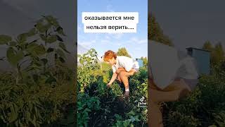 #дача#рассада#огород#садоводы#