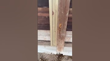 The reality of post rot  #barnlife #barnhome