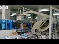 Robotic Packaging  Solution 01-Mask Packing Factory