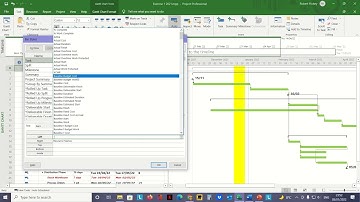 MS Project Gantt Bar Styles