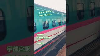 宇都宮駅東北新幹線発車動画車両はE5系#宇都宮駅#東北新幹線#発車#E5系#エゴロック