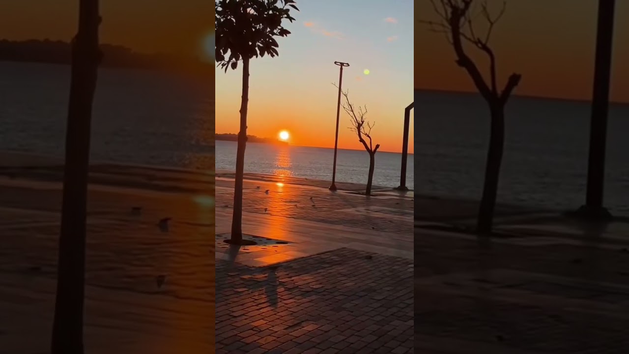 Salla güzelim türkü #funny #music #viral #youtube #keşfet #love #song #comedy #cover #shorts 