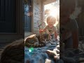 From Cold Streets to Warm Love ❤️ | Stray Cat’s Heartwarming Story #shorts