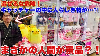 人間が景品⁈客も困惑するゲーセン!取れても困るよ編【五等分の花嫁】〔クレーンゲーム〕 人間が景品⁈客も困惑するゲーセン!取れても困るよ編【五等分の花嫁】〔クレーンゲーム〕