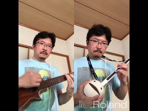 宇宙刑事ギャバン ウクレレ オタマトーン マンドリン mandolin
