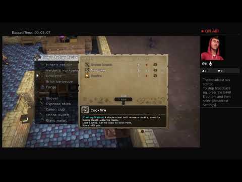camera iphone 8 plus apk I brought it back |Dragon Quest Builders