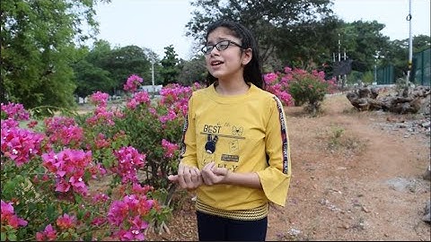 Thumbnail of Consider the Lilies - A song of Hope | Sung by Herschelle