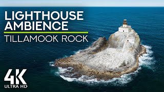 12 HRS Ambient Ocean Sound & Seagulls Squawking for Work and Sleep - 4K Tillamook Rock Lighthouse