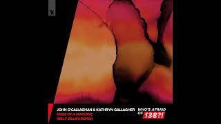 John O' Callaghan & Kathryn Gallagher - Mess Of A Machine [Billy Gillies Remix]