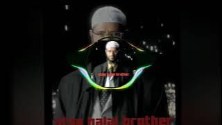 lagu stay halal brother