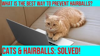 Prevent & Treat Hairballs in Cats - Tips & Solutions by Purrfect Paws 385 views 2 months ago 4 minutes, 5 seconds