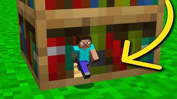 I used a Shrink Mod to hide inside my Friends House on minecraft...