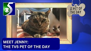 Pet of the Day: Meet Jenny Net Worth