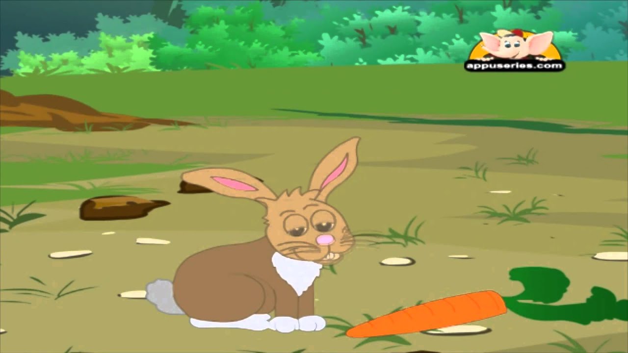 Animal Sounds in Gujarati Rabbit (HD) YouTube