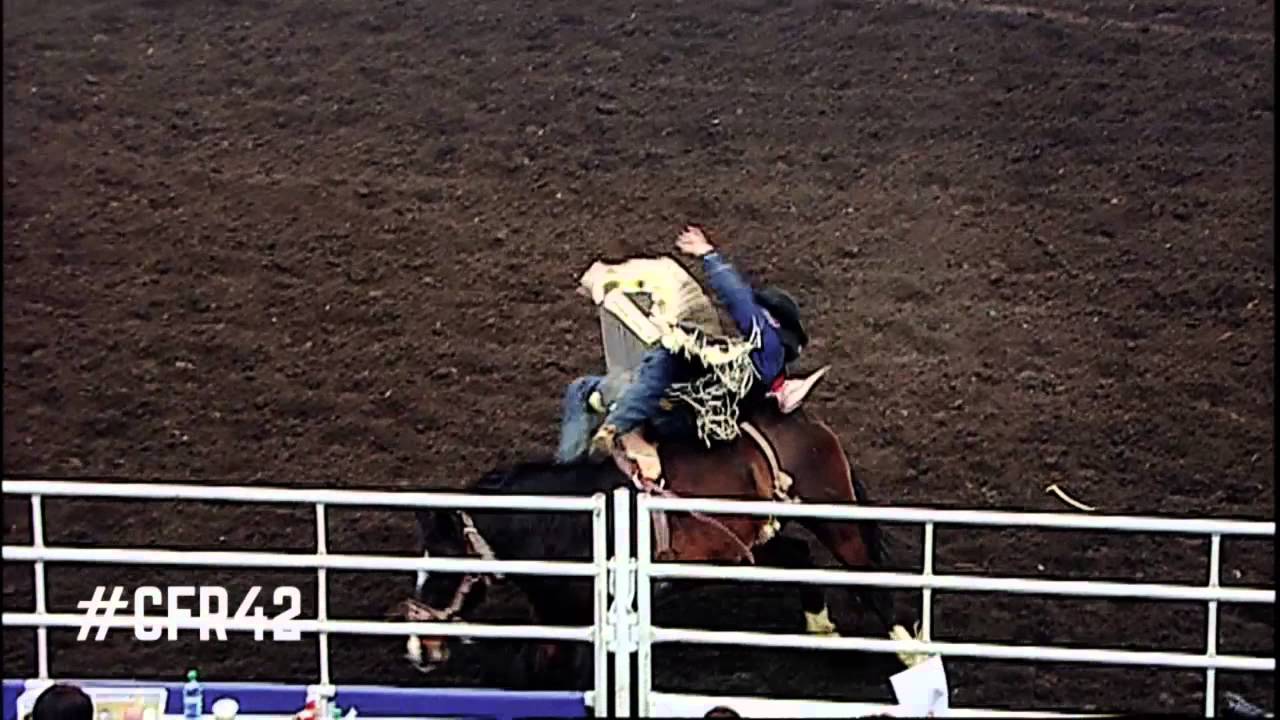 Canadian Finals Rodeo 2014 - Best Rides - Bareback: Jake Vold - YouTube