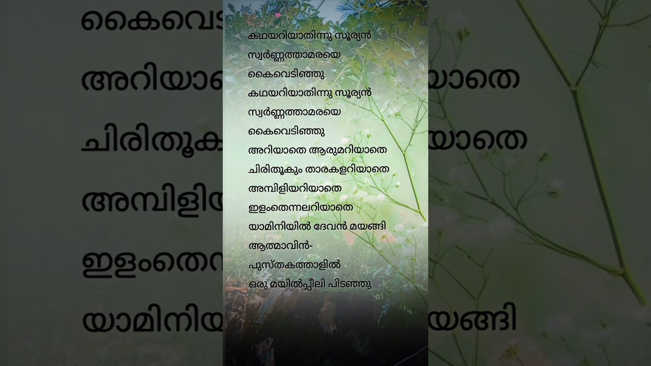 ആത്മാവിൻ പുസ്&zwnj;തകത്താളിൽ..#song #lyrics #shortsfeed #shortvideo #like