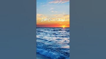 تلاوة هادئة لبعض آيات القرآن الكريم