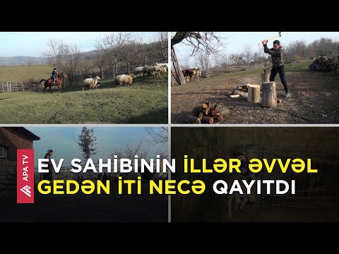 Yekdarda bir gün – Burada qışda da iş var, yayda da - APA TV