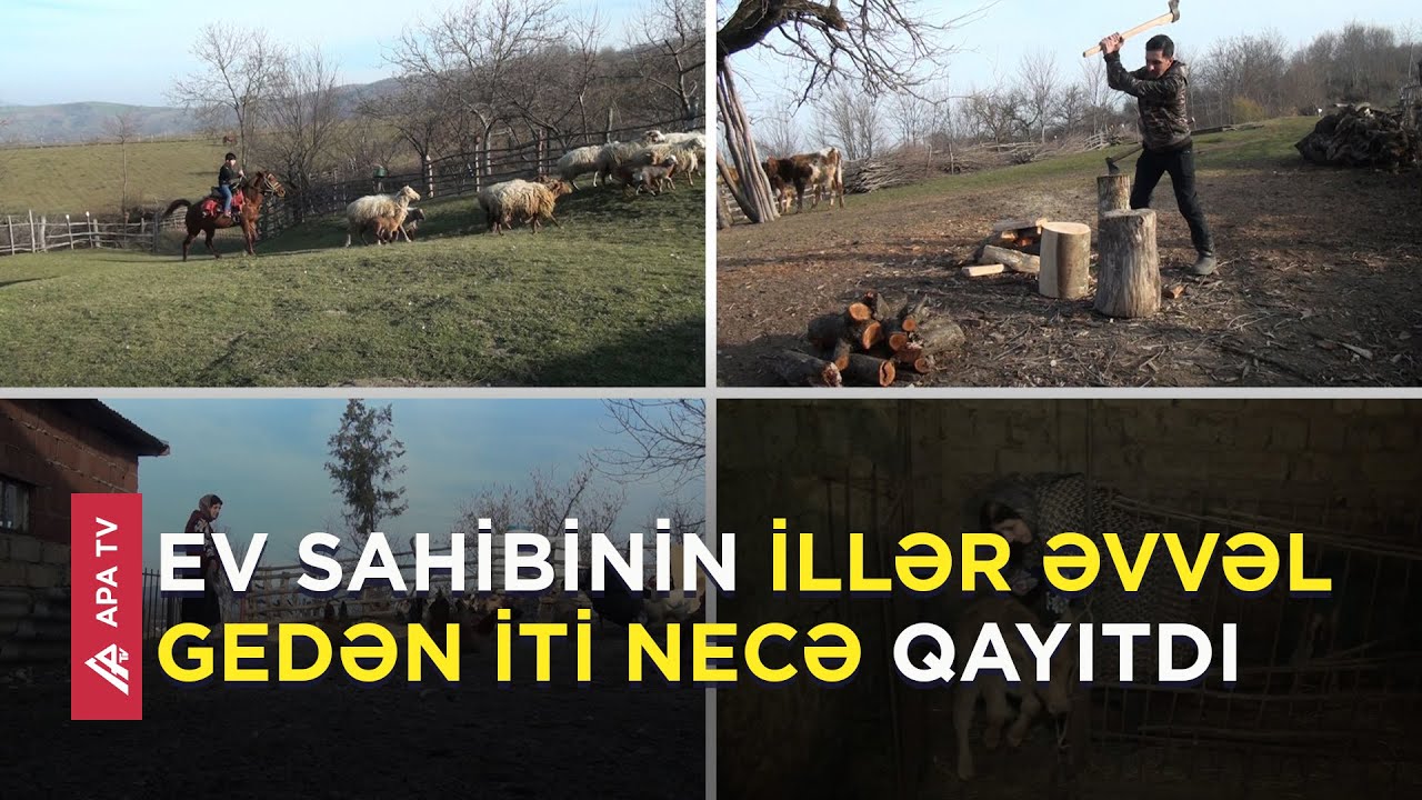 Yekdarda bir gün – Burada qışda da iş var, yayda da - APA TV