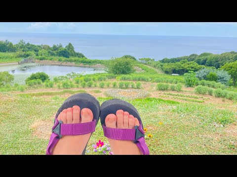 【歌ってみた】さよなら、花泥棒さん／メル 【cover by しおぴ𓌉🥗𓇋】