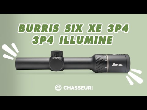 Burris 1-6X24 Six Xe 3P4 Illuminé