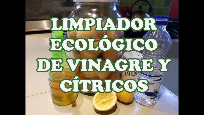 Descubre 6 limpiavidrios caseros, naturales y ecológicos