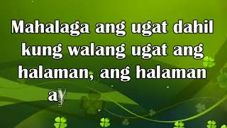 Mga Bahagi at Tungkulin ng Halaman Mga Bahagi at Tungkulin ng Halaman