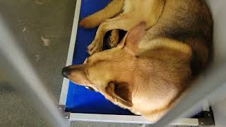 Information acs A674439 Update