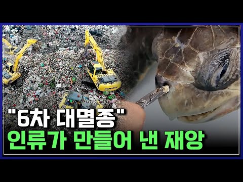 &amp;quot;6차 대멸종&amp;quot; 인류가 만들어 낸 재앙 | 다큐S프라임 [반복재생]/YTN 사이언스